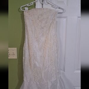 Elegant Strapless Lace Dress